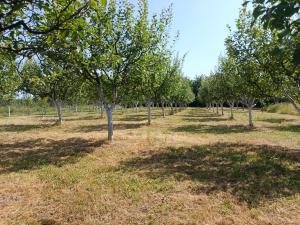 Veseli svet-Zvizdar,Ub