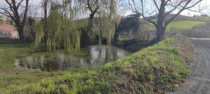 gite auprès de mon âne