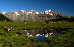 Boutique Hotel e Chalets Salvadori