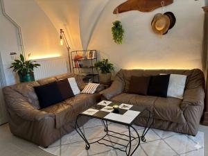 Le Rocher des Ducs, appartement, cour privative, abris voiture