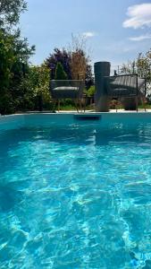 The Villa of the Vines Pool & Jacuzzi