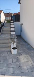 Kleine gemütliche Wohnung