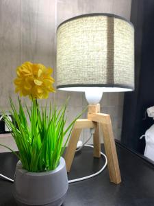 Apartamentos La Terminal