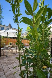 Residence Corte Bizantina