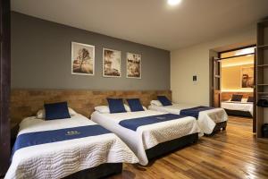 Hotel Catedral Boutique Loft