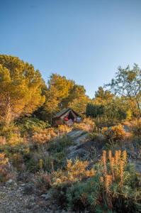Camping la Peiriere - Lodge en Pays Cathare