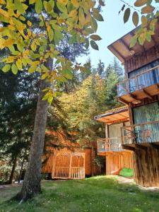 ECHIVITI Cottages in Abastumani