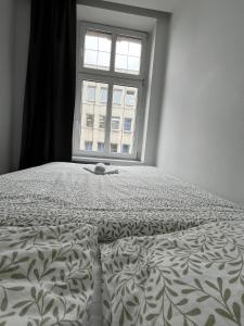 Zabrska Apartments V