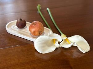 Αιθεροβάμων - Etherovamon