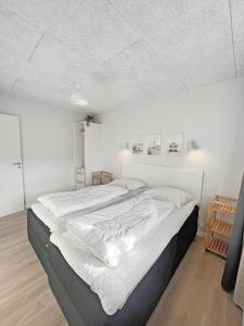 0449-Romo-Norre-Frankel-1-G