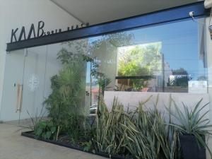 Studio céntrico
