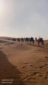 Iriki Desert Camp Foum Zguid