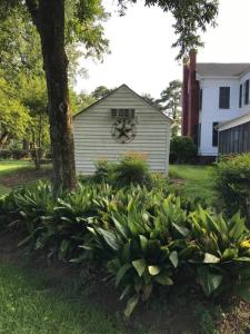 Pecan Shelling House - 35 Mins to Univ of Alabama