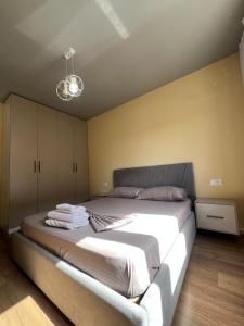 Vila L-2 Astir