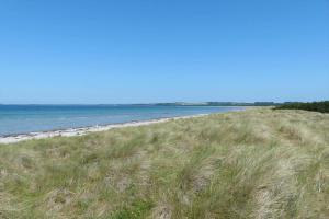 13314-1-Hojby-Paradislyngen-29