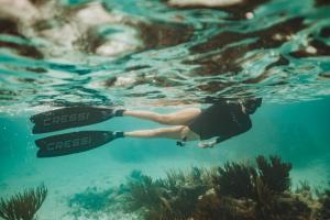 Casa Colibrí Tankah