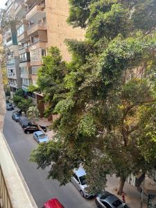 Luxurious apartment in zamalek