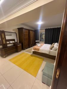 Luxurious apartment in zamalek
