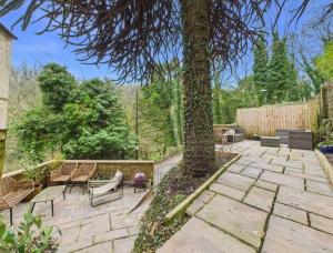 Monkey Puzzle cottage