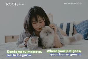 Studio apartment for 2 people in Poblado FRN105 By Roots Rentals