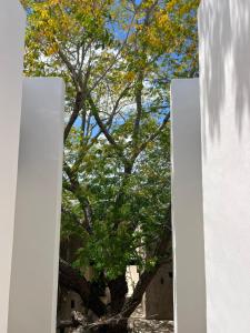 New Hotel Serenata Santa Lucia Mérida