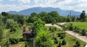 Cabana 33 - Cabin in Bran with mountain view