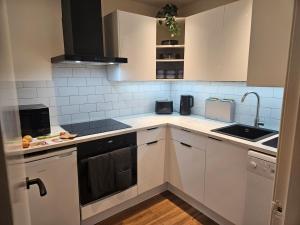 Stylish Newly-Renovated 1BR Flat Near City Centre