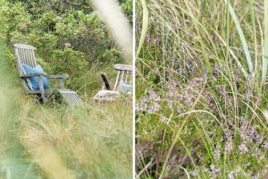 2250-Ringkobing-Vestklitvej-25