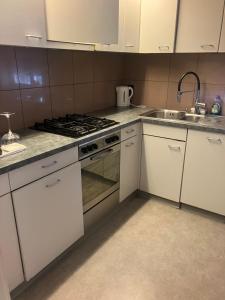 3 bedrooms Apartment with living room with kitchen onebathroom in St Galen Switzerland