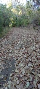 Hotel in Christian Camp