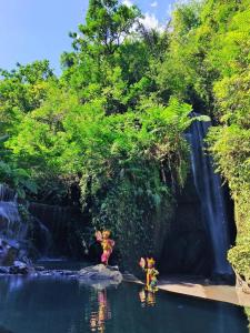 Kamar pribadi dengan kolam renang pribadi,pemandangan gunung