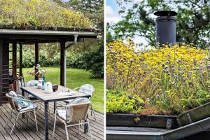 84249-Knebel-Skraningen-13