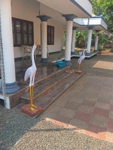 Meryland Eco Farm Homestay