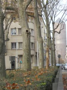 Appartements le gambetta : photos des chambres