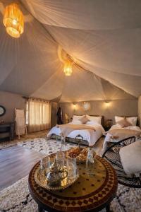 Amrad luxury camp