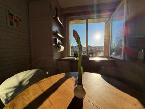 Cozy place nearby the Baltic Sea and LCC Uni