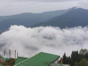 Hotel white lion-Near Bhajra Taxi Stand