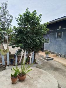A homely place near Nakuru Mzee wa Nyama Centre