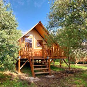 Glamping Il Bosco di Marino