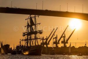 Nantes Erdre, Île de Versailles
