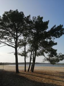 Havre de paix en rez-de-jardin pour 4 personnes