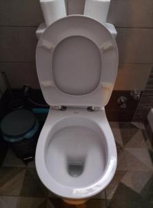 Villa Kamila with pool