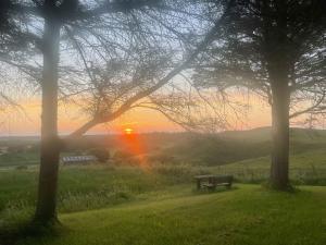 Peaceful Holiday Home With Views Of The Dunes