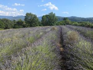 Studio indépendant vue magnifique et au calme