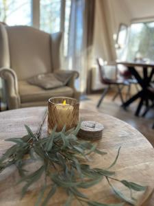 Chalet Woods