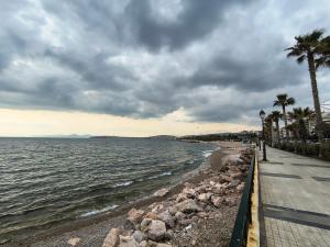 Cozy Apartment Marina Flisvos