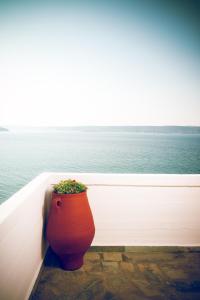 Villa on the Edge