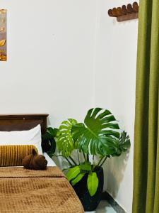 Jaya Villa - Near Airport