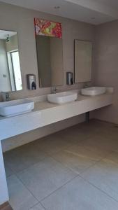 Verdant Comfort Apartment