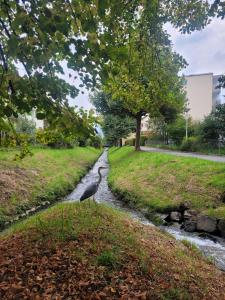 Apartment near the lake with balcony & view of Mount Pilatus in Horw